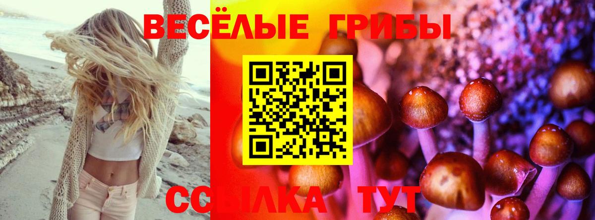 Галлюциногенные грибы Magic Shrooms Междуреченск
